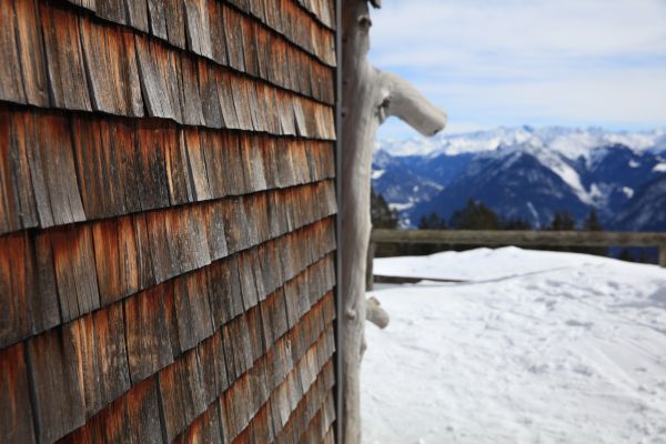 Cedar Siding Repair in Petaluma