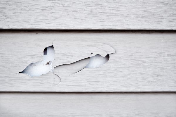 Siding Leak Repair in Petaluma