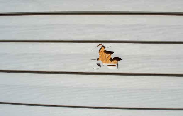 Siding Hole Patching in Petaluma