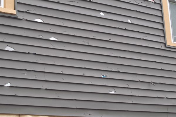 Damaged Siding Replacement in Petaluma