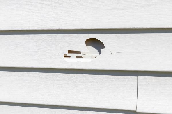 Cost of White Vinyl Siding Repair in Petaluma