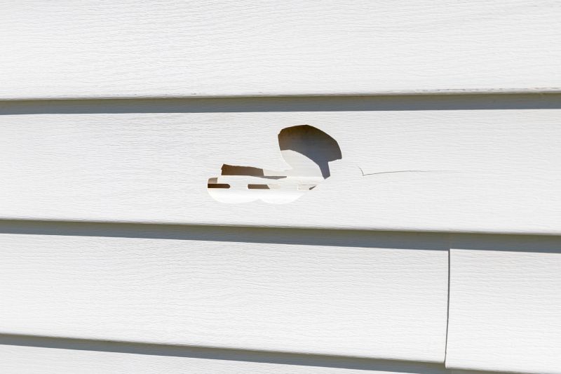Siding Repair Solutions